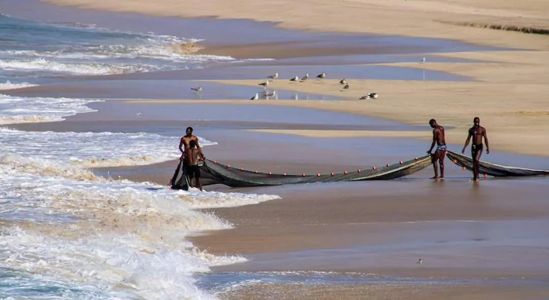 Farfalla Cidade do Maio Lägenhet